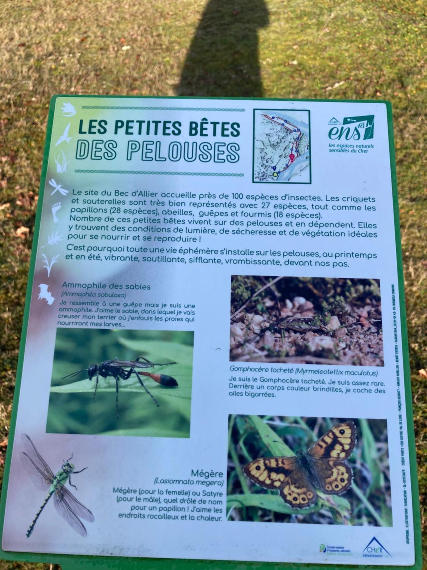 Le Lodge De Serenite Cuffy Bagian luar foto